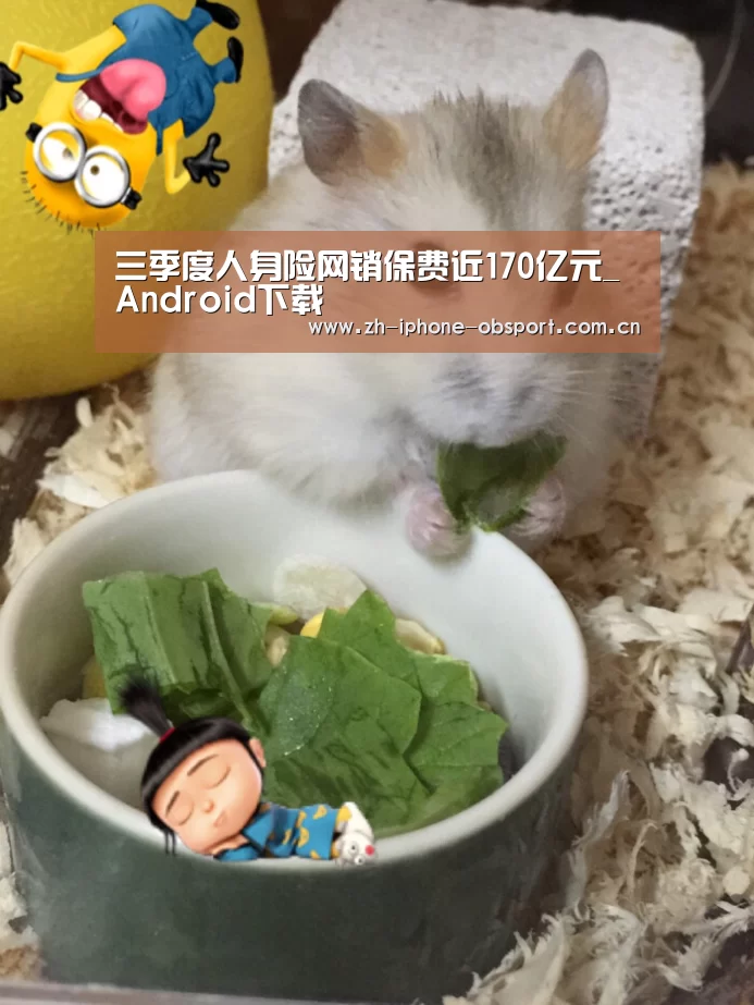 欧宝体育APP