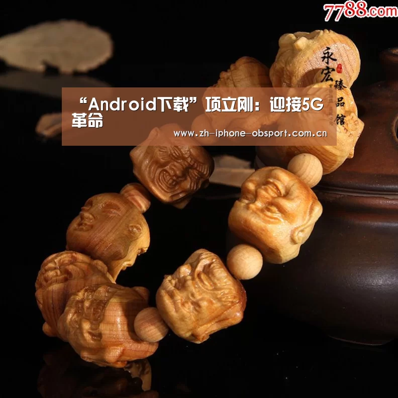 “Android下载”项立刚:迎接5G革命(图4) iOS下载