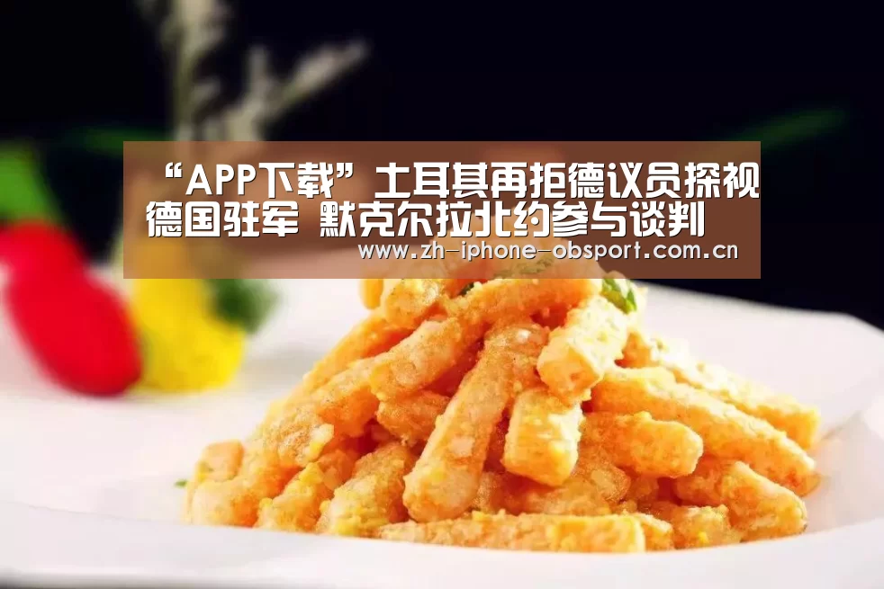 “APP下载”土耳其再拒德议员探视德国驻军 默克尔拉北约参与谈判(图1) APP下载
