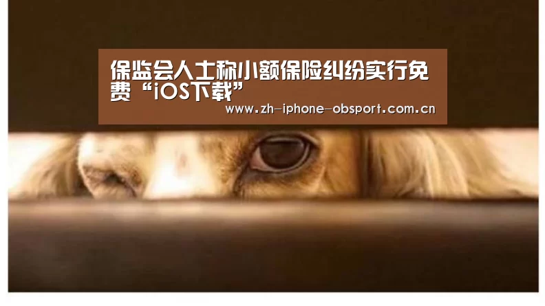 APP下载
