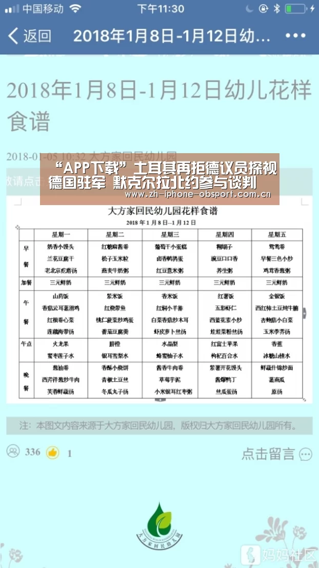 “APP下载”土耳其再拒德议员探视德国驻军 默克尔拉北约参与谈判(图4) 官方应用