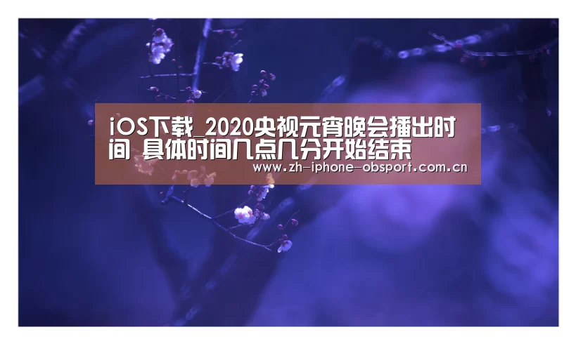 iOS下载_2020央视元宵晚会播出时间 具体时间几点几分开始结束(图3) 欧宝体育APP