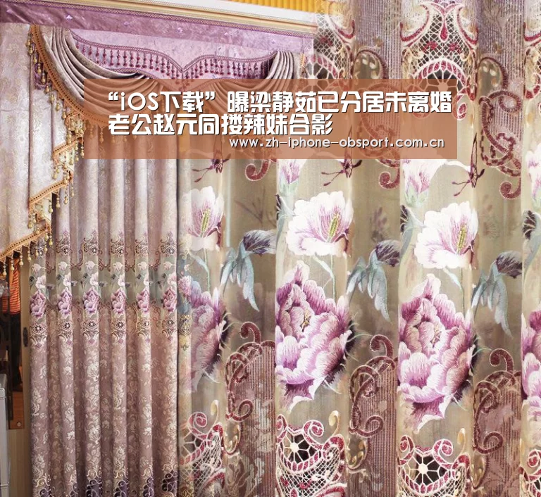 “iOS下载”曝梁静茹已分居未离婚 老公赵元同搂辣妹合影(图2) Android下载