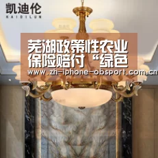 芜湖政策性农业保险赔付“绿色通道”开启:Android下载(图3) iOS下载