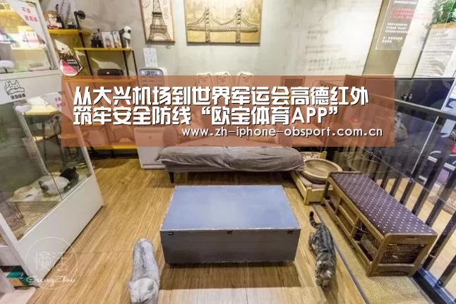 官方应用