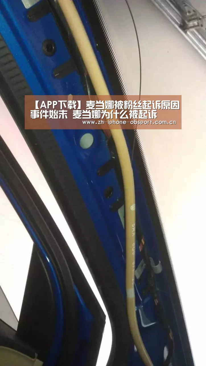 【APP下载】麦当娜被粉丝起诉原因事件始末 麦当娜为什么被起诉(图2) Android下载