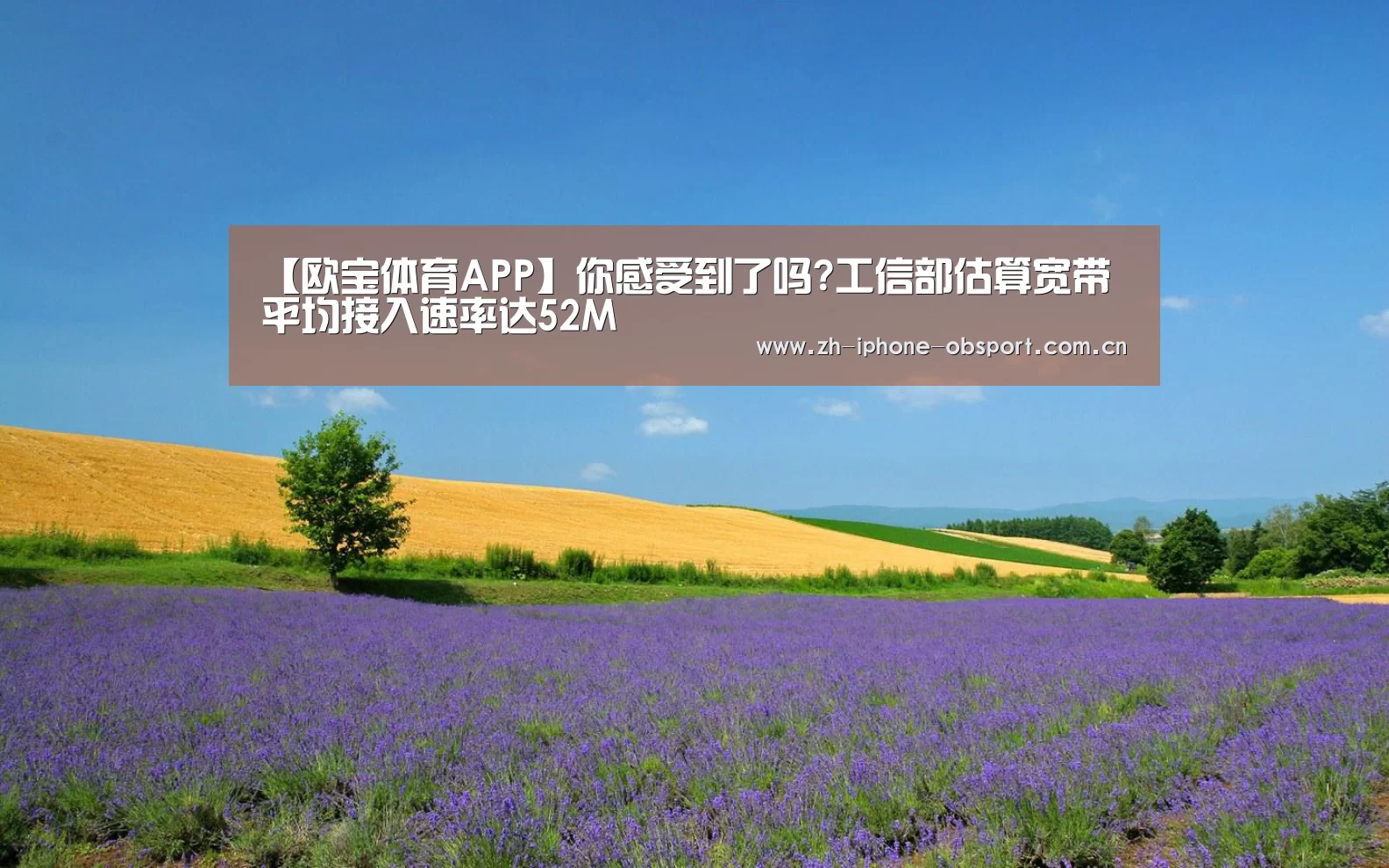 【欧宝体育APP】你感受到了吗?工信部估算宽带平均接入速率达52M(图2) 官方应用