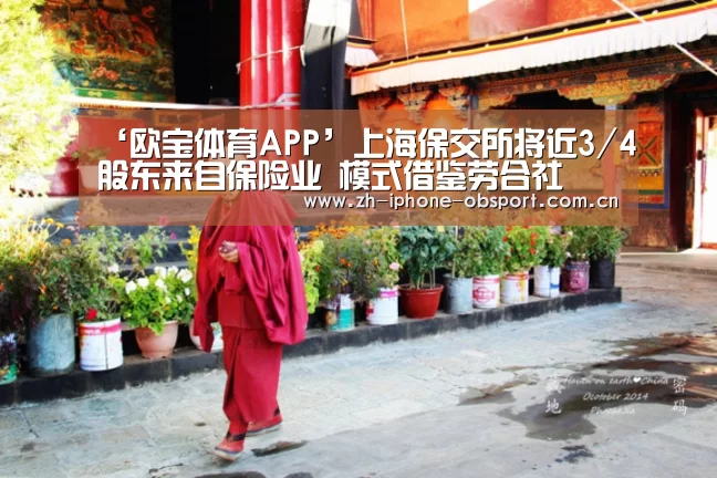 ‘欧宝体育APP’上海保交所将近3/4股东来自保险业 模式借鉴劳合社(图1) APP下载