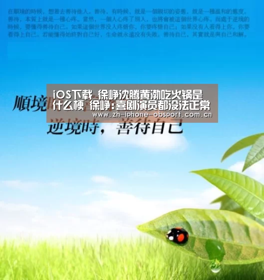 官方应用