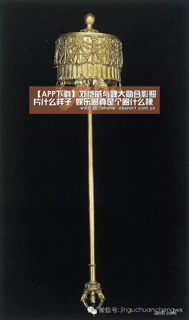 【APP下载】刘恺威与魏大勋合影照片什么样子 娱乐圈真是个圈什么梗(图2) 官方应用